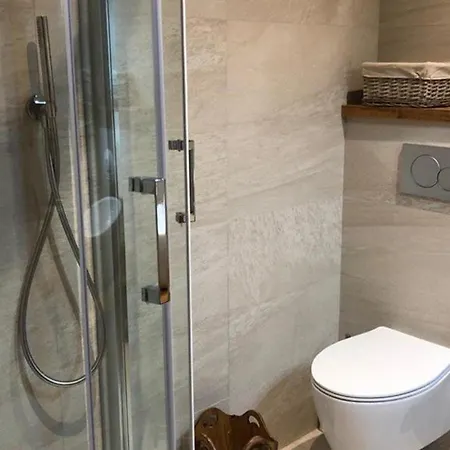 Apartment Superbe Duplex 4 Pieces Avec Wifi Et Garage - Fr-1-266-158